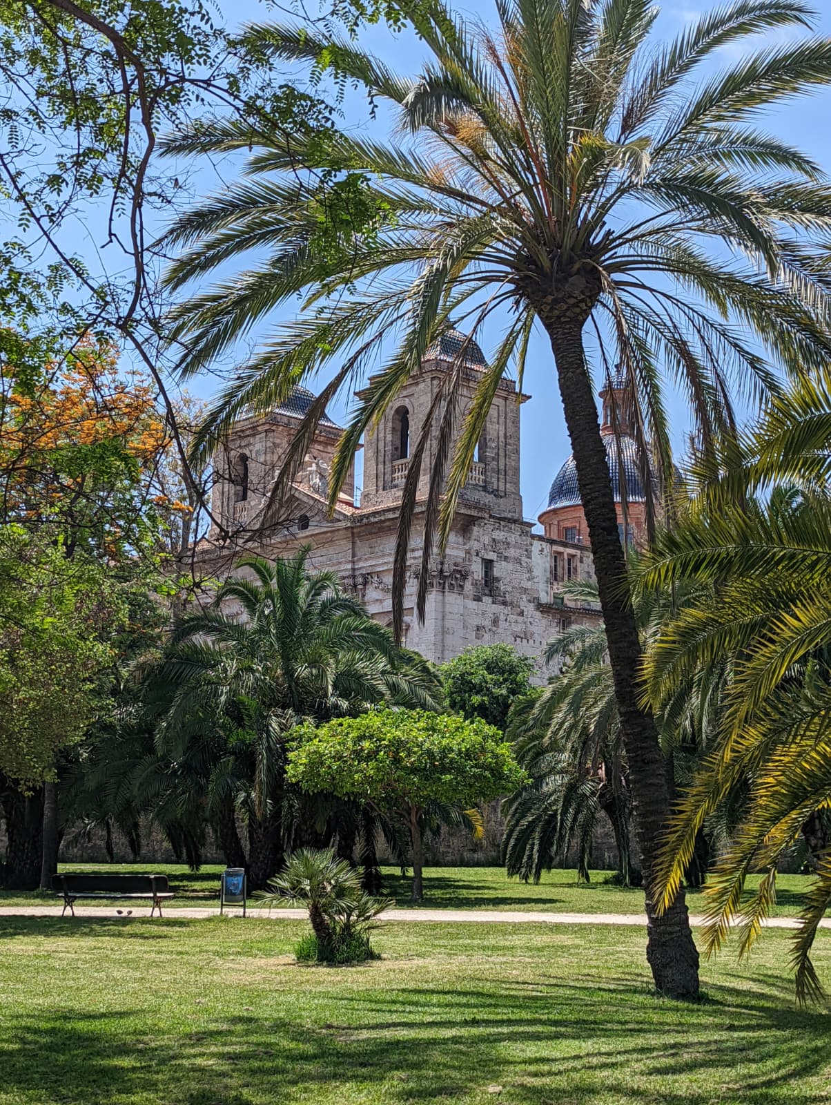 Valencia — Jardines de Monforte with palms and belltowers